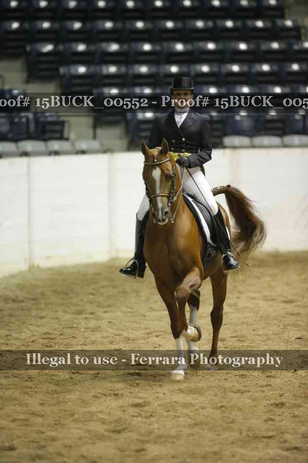 Proof 15BUCK_00552