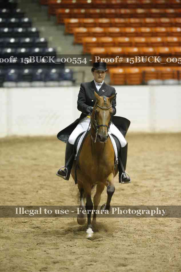 Proof 15BUCK_00554