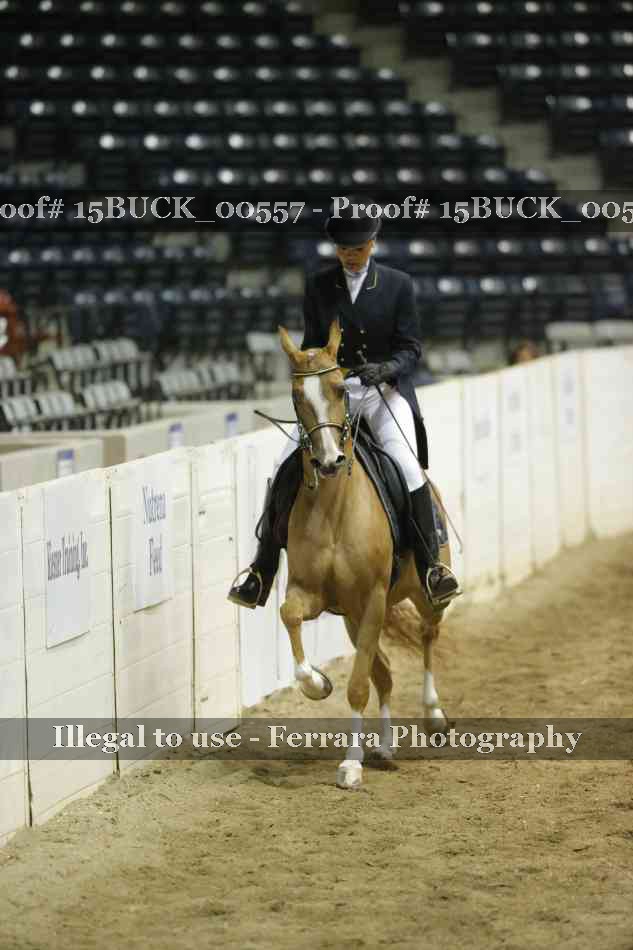 Proof 15BUCK_00557