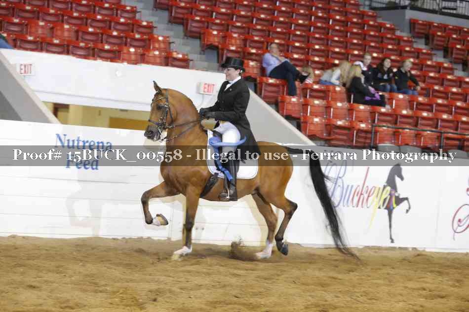 Proof 15BUCK_00558