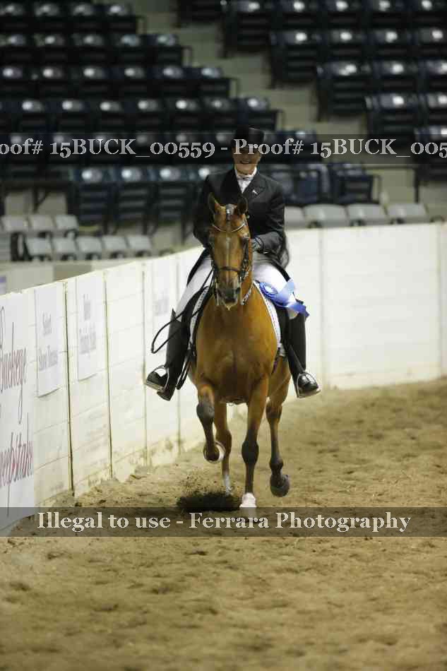 Proof 15BUCK_00559
