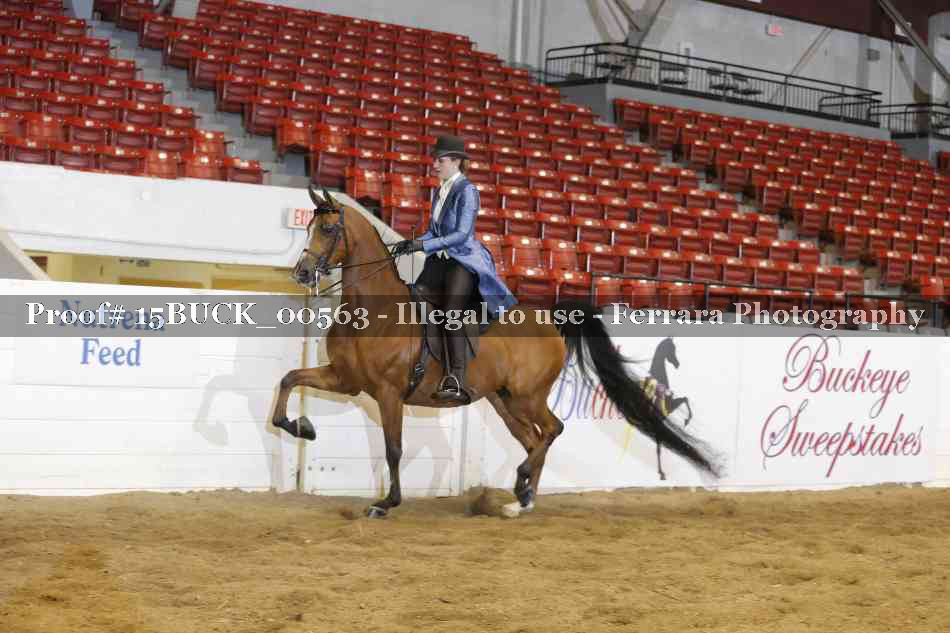 Proof 15BUCK_00563
