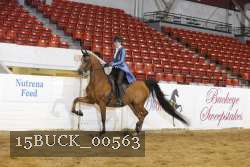 15BUCK_00563 proof