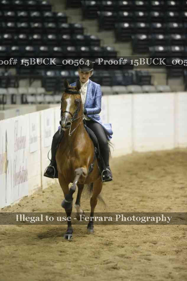 Proof 15BUCK_00564
