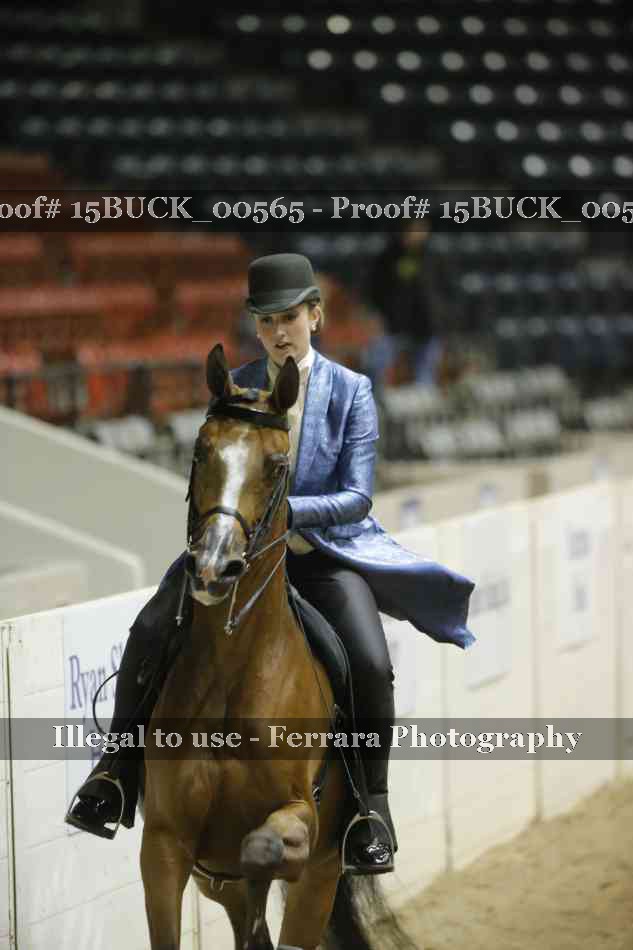 Proof 15BUCK_00565
