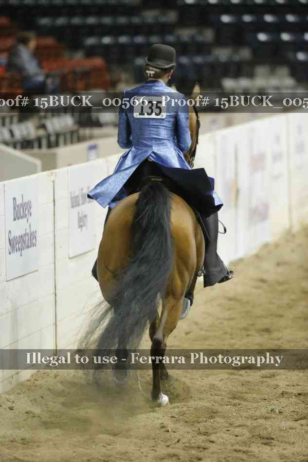 Proof 15BUCK_00566
