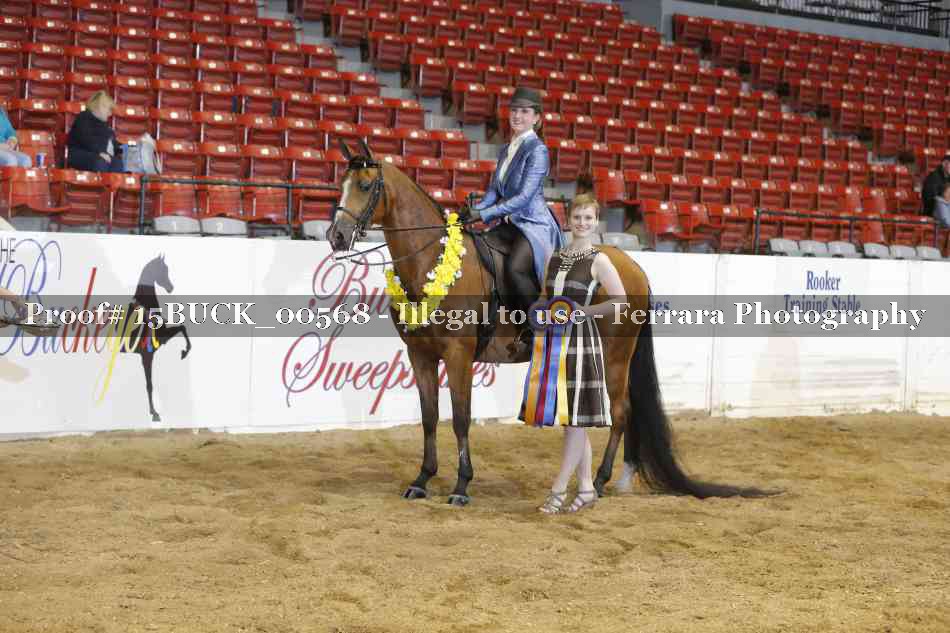 Proof 15BUCK_00568