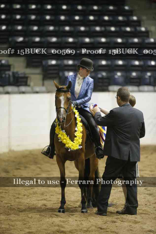 Proof 15BUCK_00569