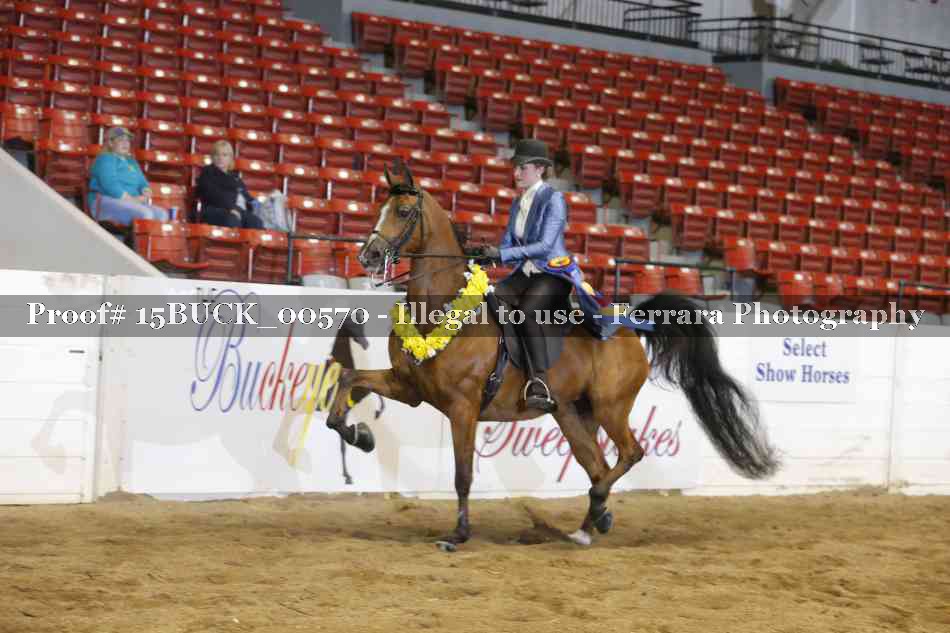 Proof 15BUCK_00570