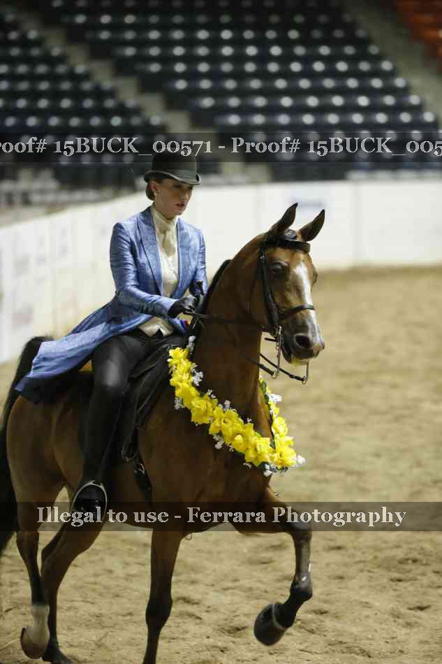 Proof 15BUCK_00571
