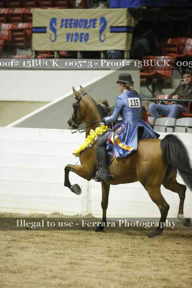 Proof 15BUCK_00573