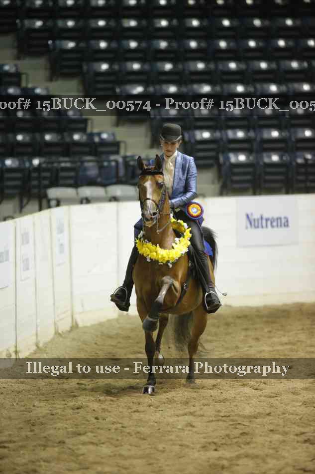 Proof 15BUCK_00574