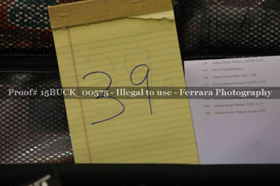 Proof 15BUCK_00575