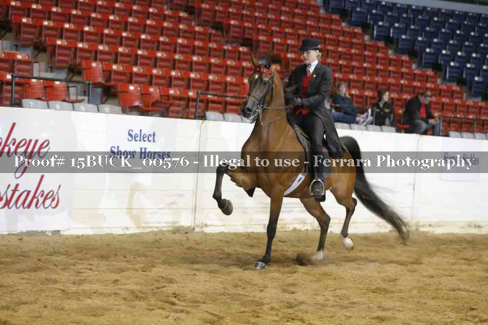 Proof 15BUCK_00576