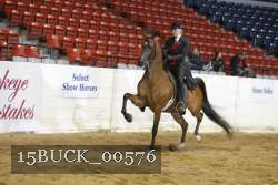15BUCK_00576 proof
