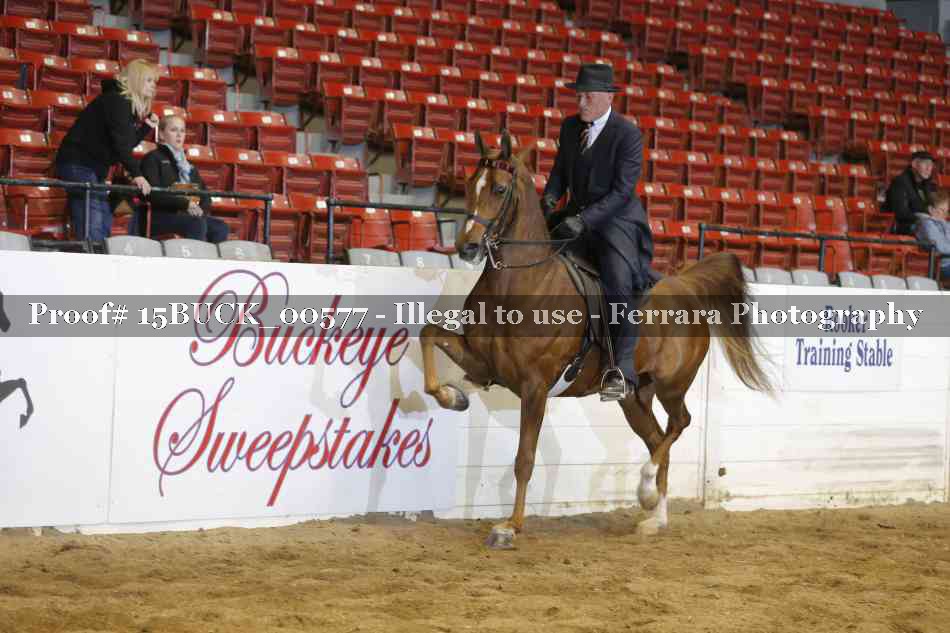 Proof 15BUCK_00577