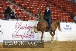15BUCK_00577 proof