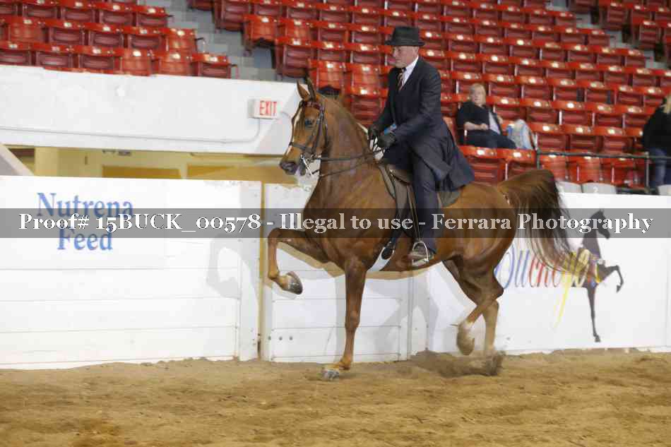 Proof 15BUCK_00578