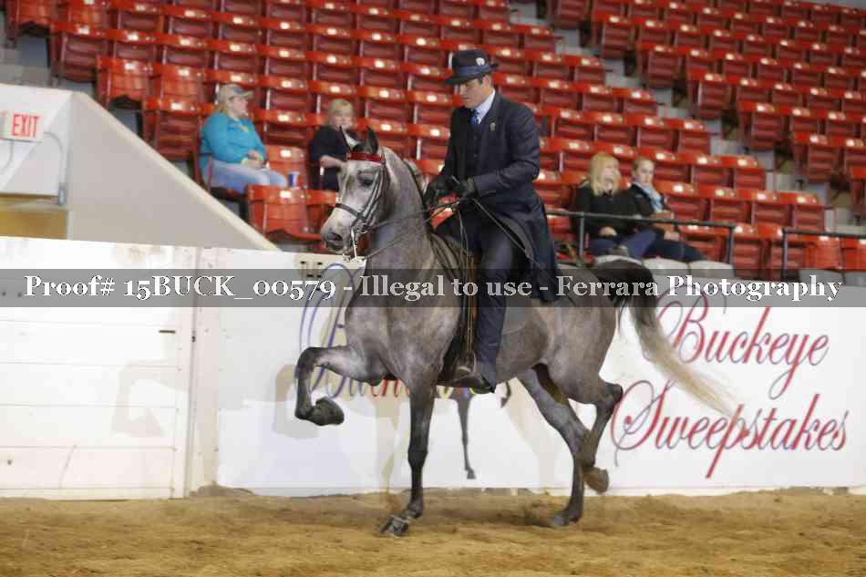 Proof 15BUCK_00579