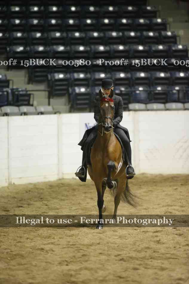 Proof 15BUCK_00580