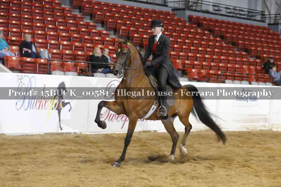 Proof 15BUCK_00581