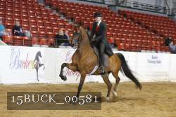 15BUCK_00581 proof