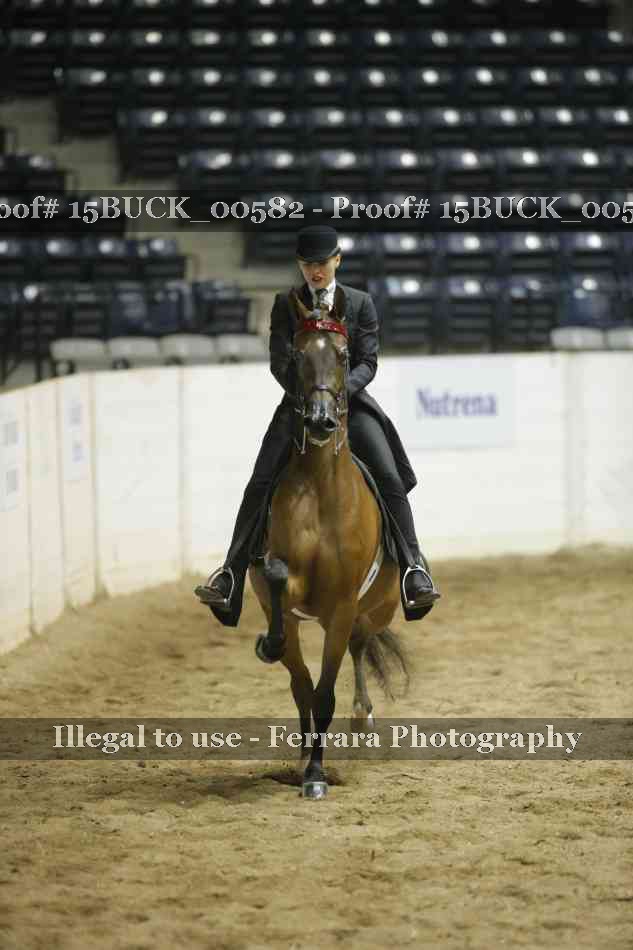 Proof 15BUCK_00582