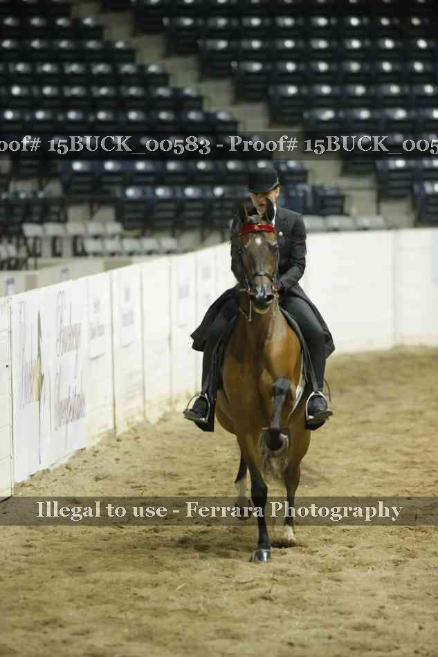 Proof 15BUCK_00583