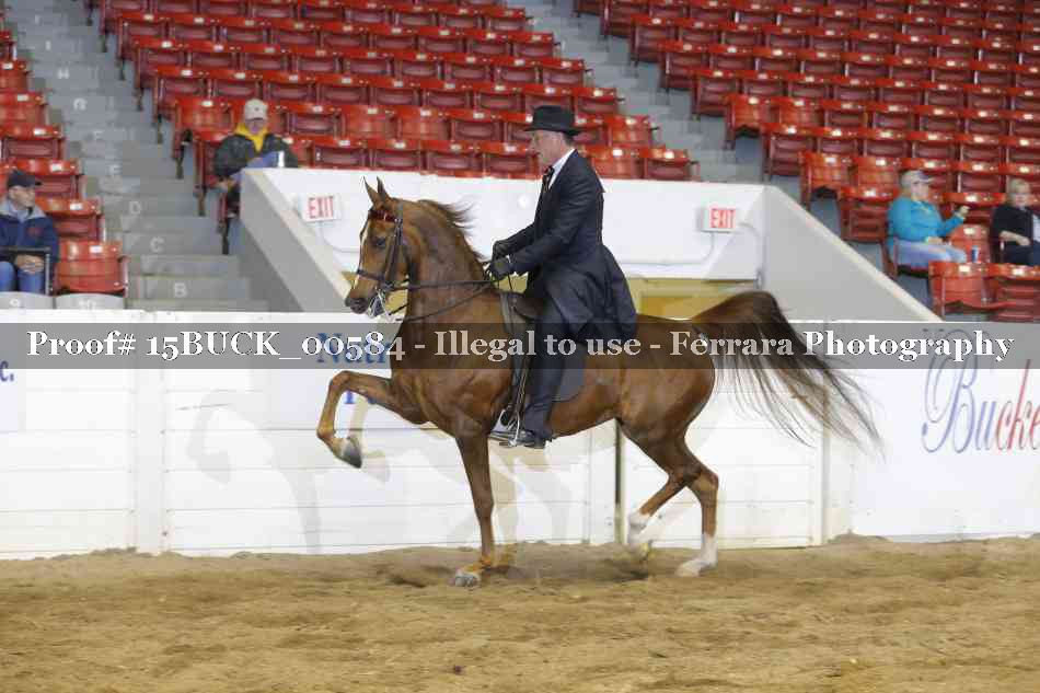 Proof 15BUCK_00584