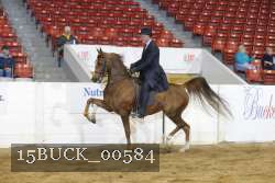 15BUCK_00584 proof