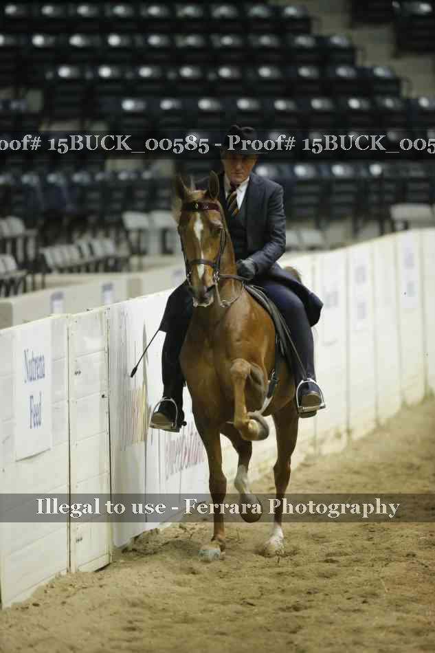 Proof 15BUCK_00585
