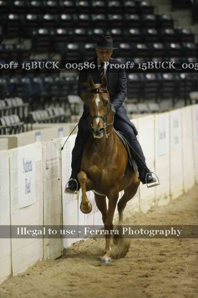 Proof 15BUCK_00586