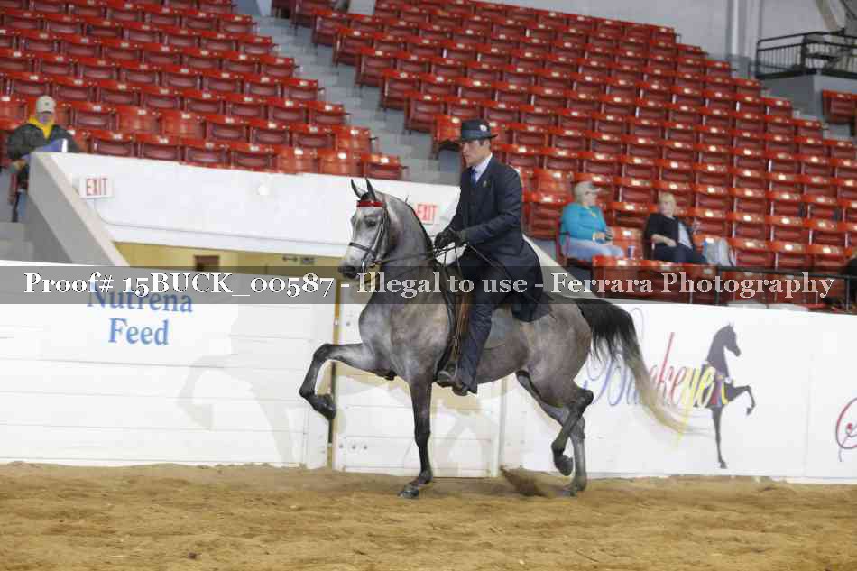 Proof 15BUCK_00587