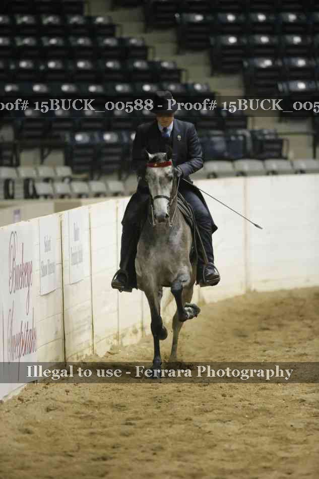 Proof 15BUCK_00588