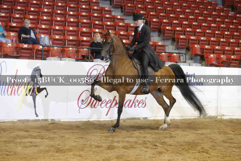 Proof 15BUCK_00589