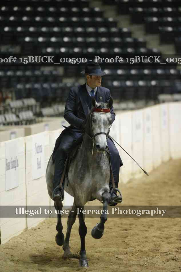 Proof 15BUCK_00590