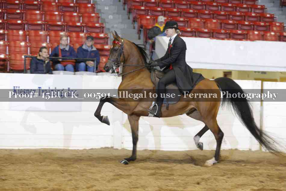 Proof 15BUCK_00591
