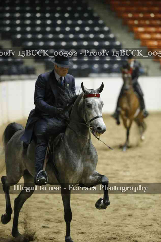 Proof 15BUCK_00592