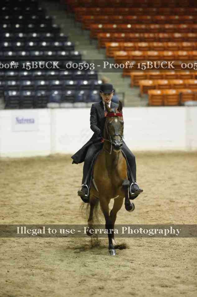 Proof 15BUCK_00593