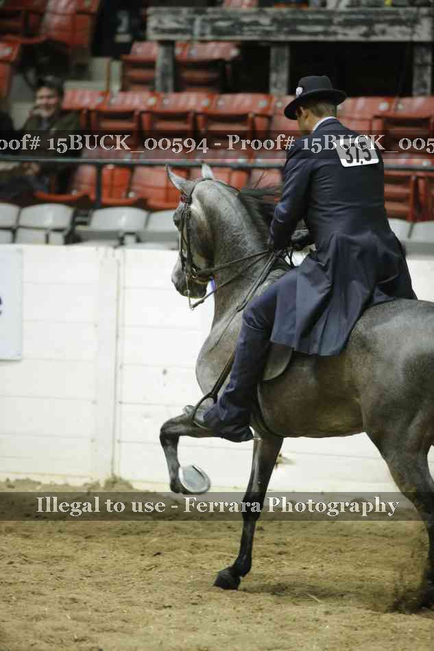 Proof 15BUCK_00594
