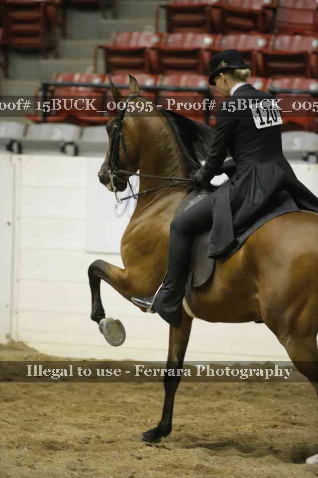 Proof 15BUCK_00595