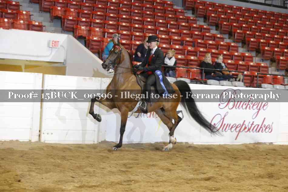 Proof 15BUCK_00596
