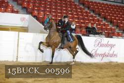 15BUCK_00596 proof