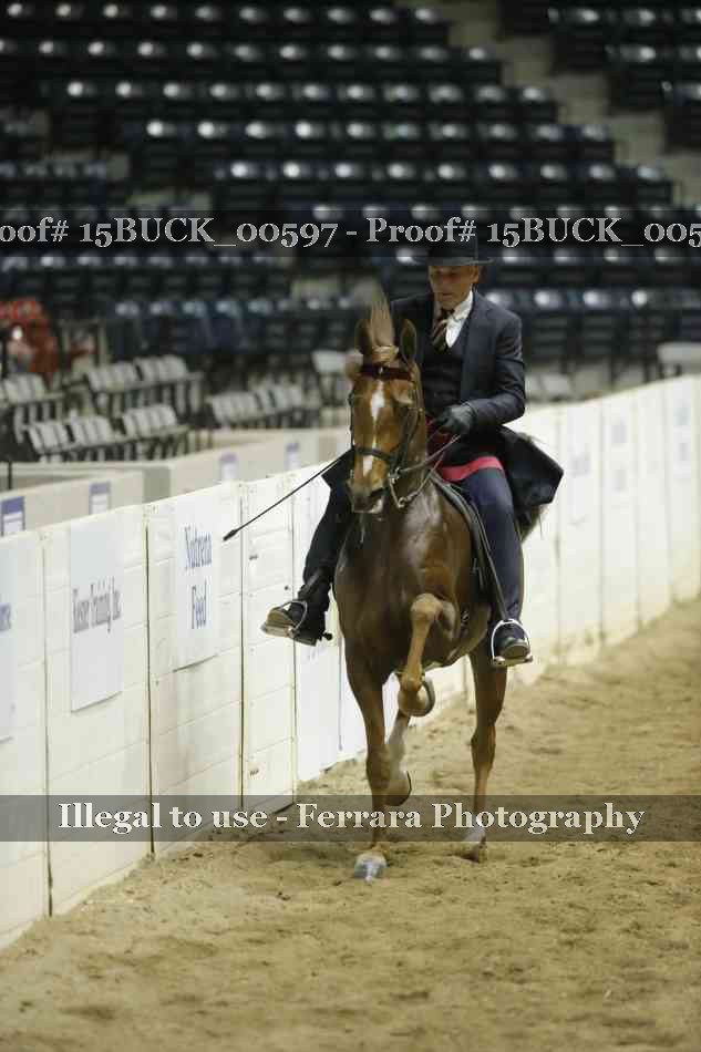 Proof 15BUCK_00597