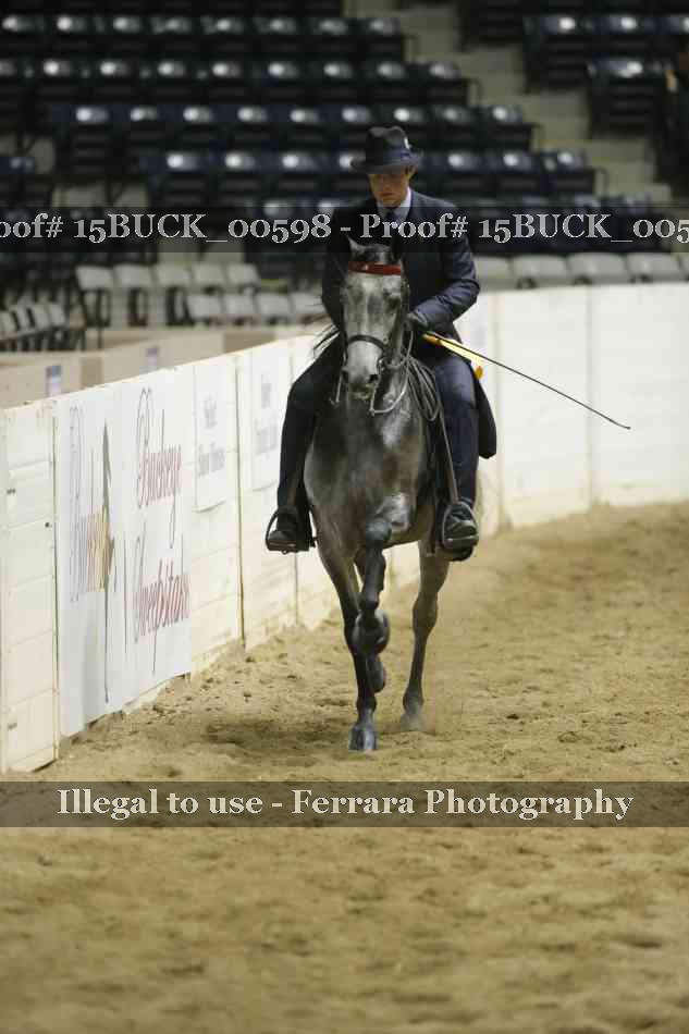 Proof 15BUCK_00598