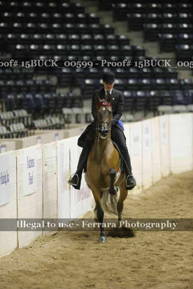 Proof 15BUCK_00599