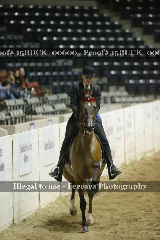 Proof 15BUCK_00600