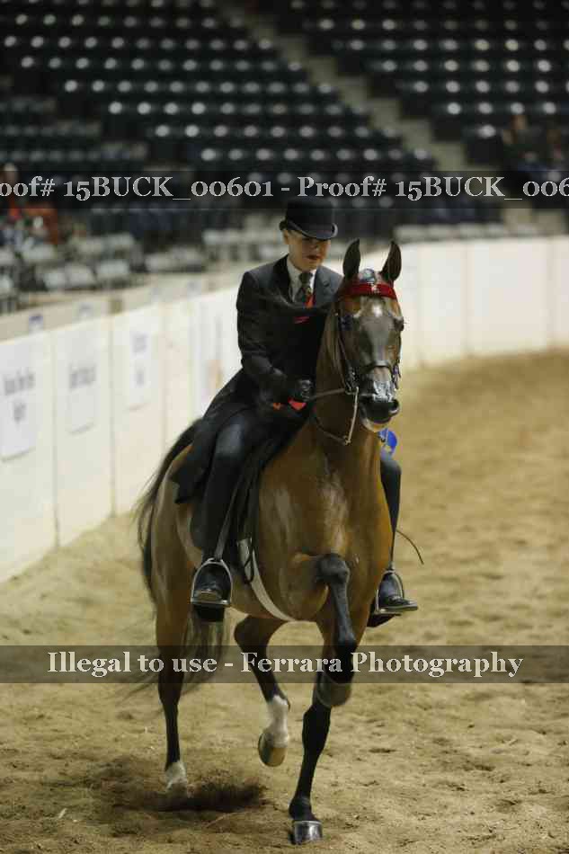 Proof 15BUCK_00601