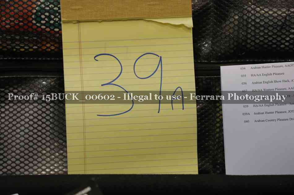 Proof 15BUCK_00602
