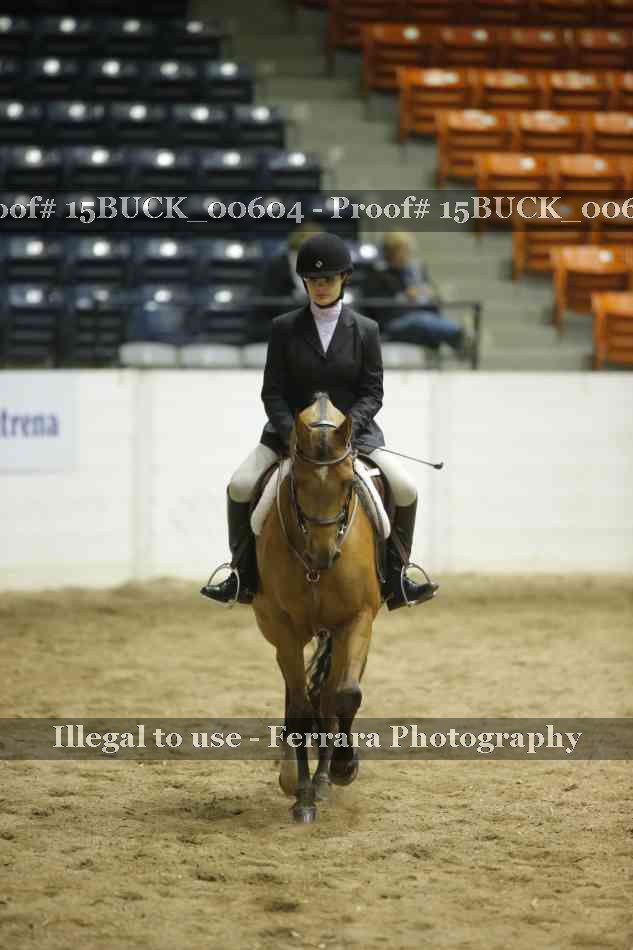 Proof 15BUCK_00604